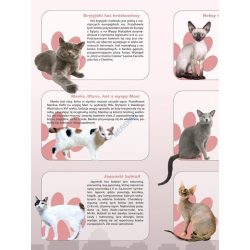 Rasy kotów - ścienna plansza dydaktyczna