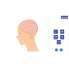 LaboLAB Biologia - Struktury roślin i zwierząt