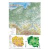 Polska ? mapa ogólnogeograficzna + mapki zalesienia i gleb