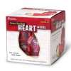 Piankowy model serca