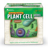 Piankowy model komórki roślinnej