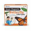 Motyl - cykl rozwojowy motyla magnetyczny